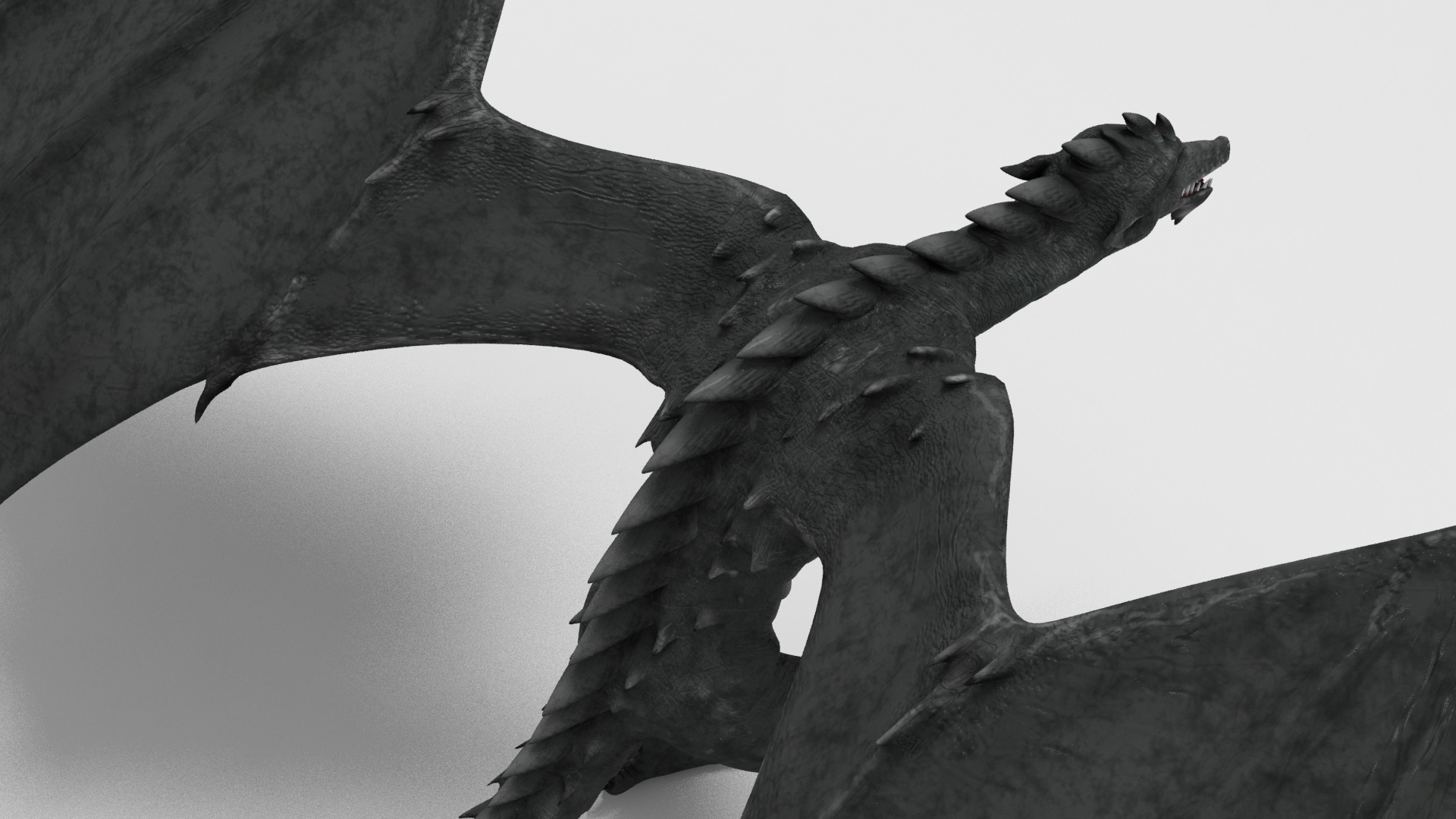 Dragon 01 3D model_8