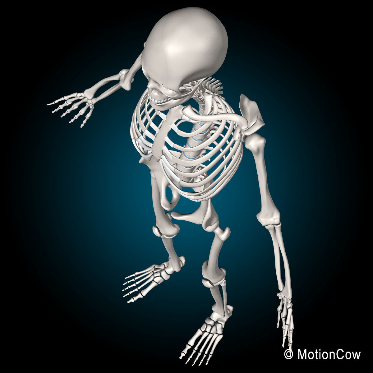 Skeleton and Anatomy 3D model_23