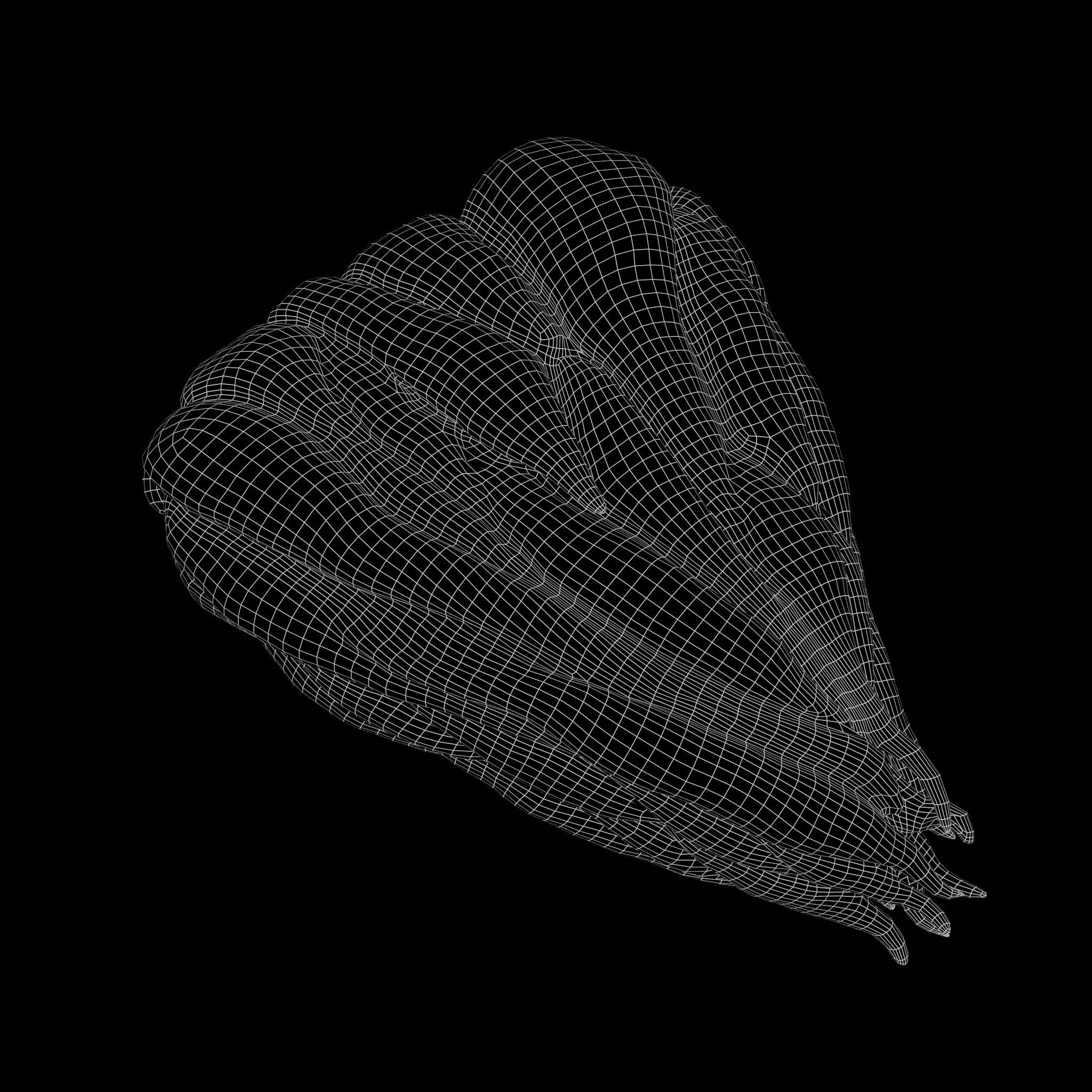 High-Quality 3D Orange Pulp 3D model_2