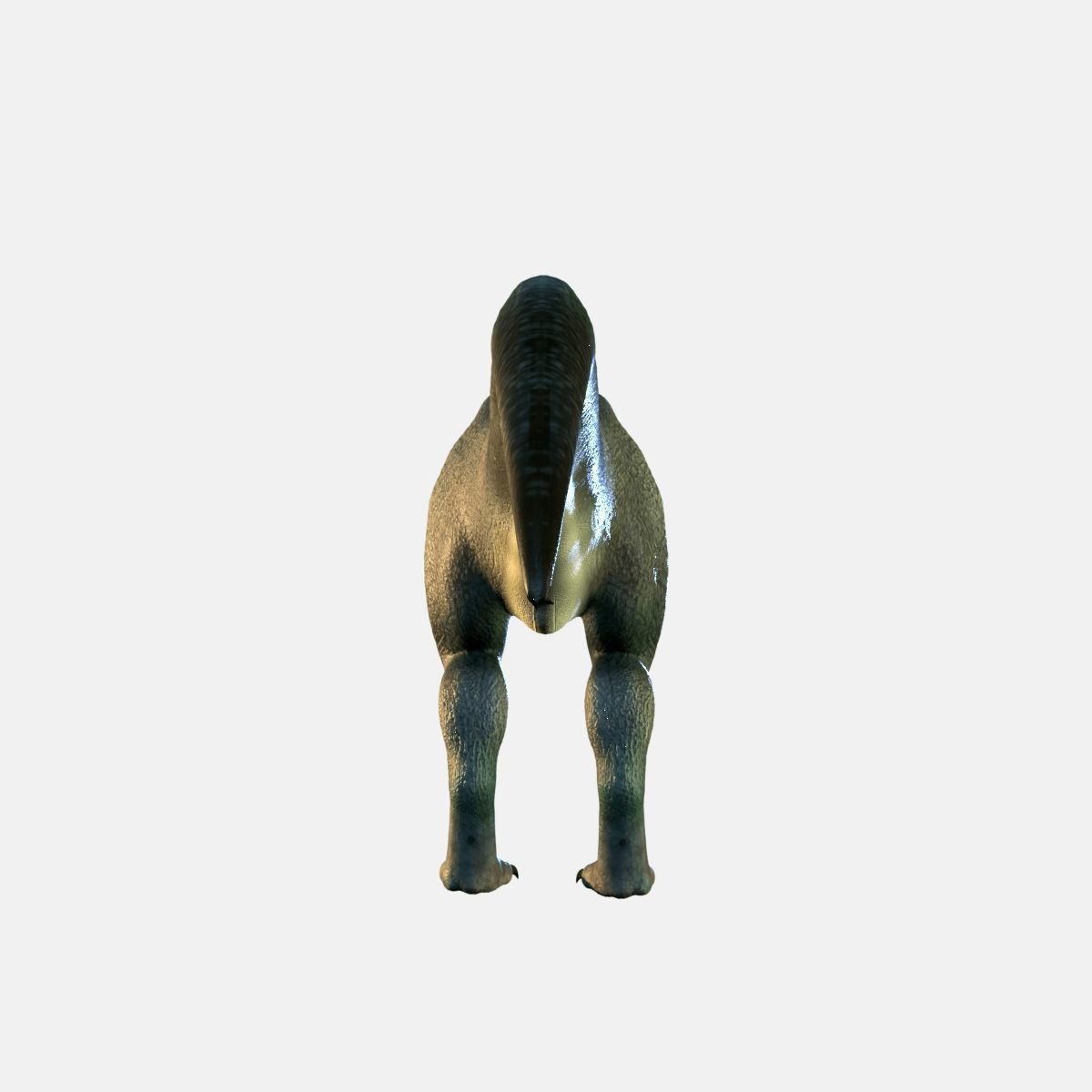 Allosaurus Dinosaur 3D model_6