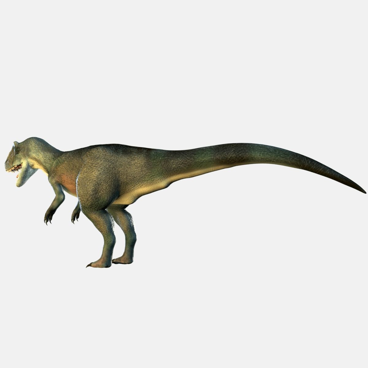Allosaurus Dinosaur 3D model_1