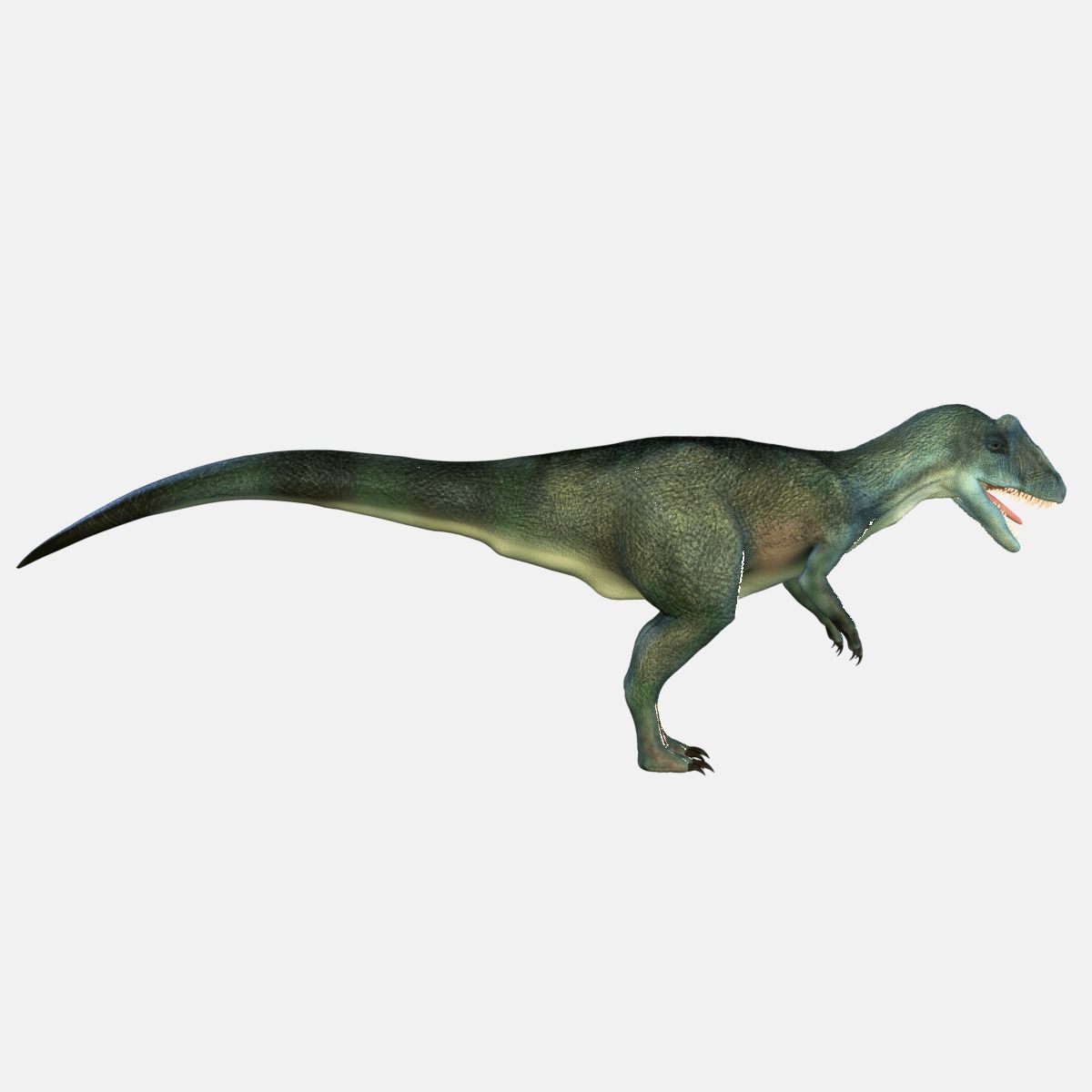 Allosaurus Dinosaur 3D model_5