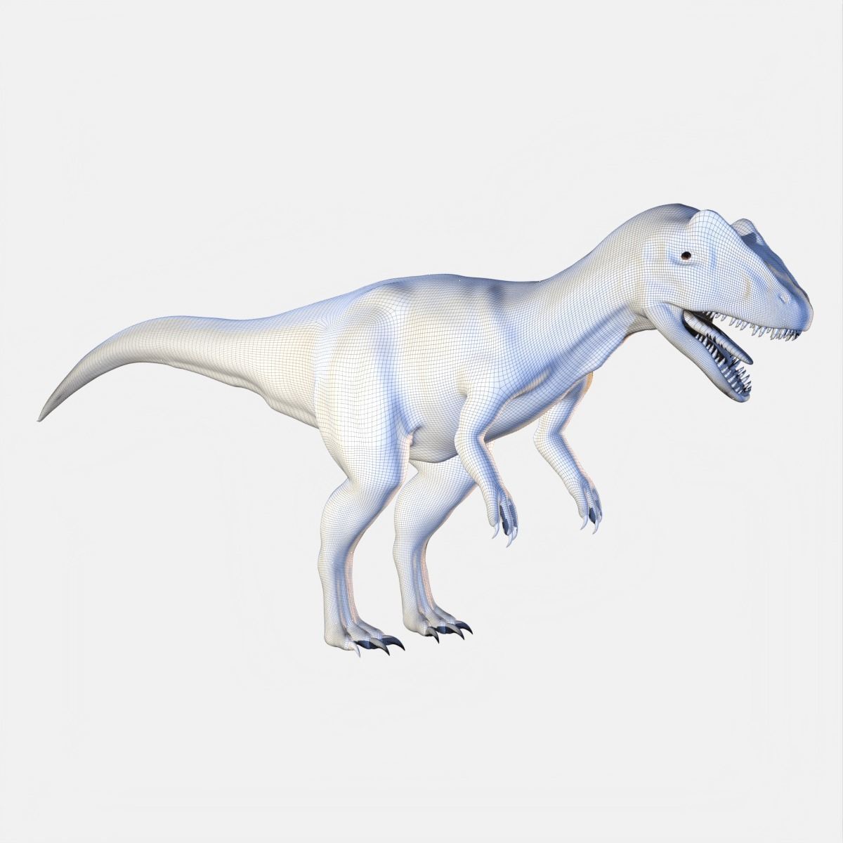 Allosaurus Dinosaur 3D model_9
