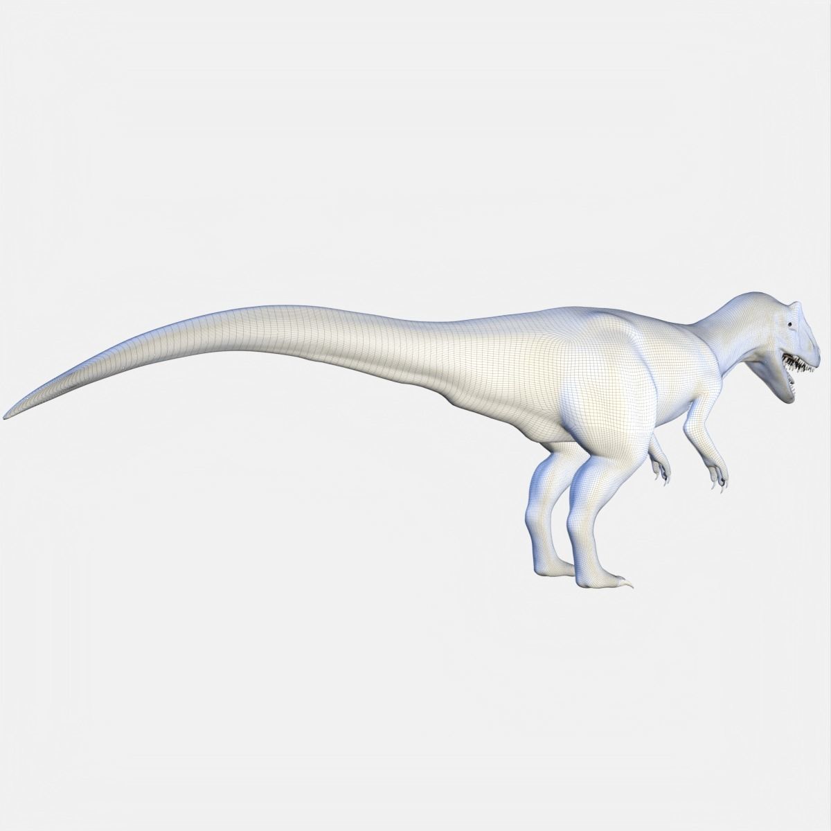 Allosaurus Dinosaur 3D model_10