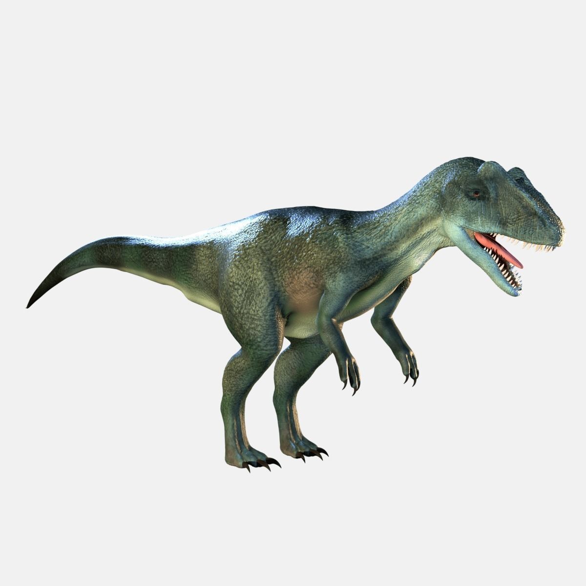 Allosaurus Dinosaur 3D model_4