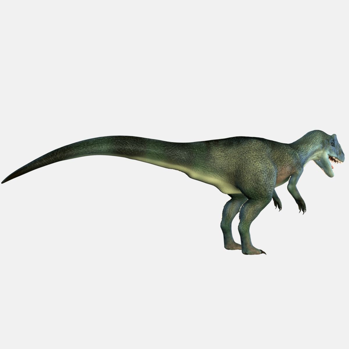 Allosaurus Dinosaur 3D model_7