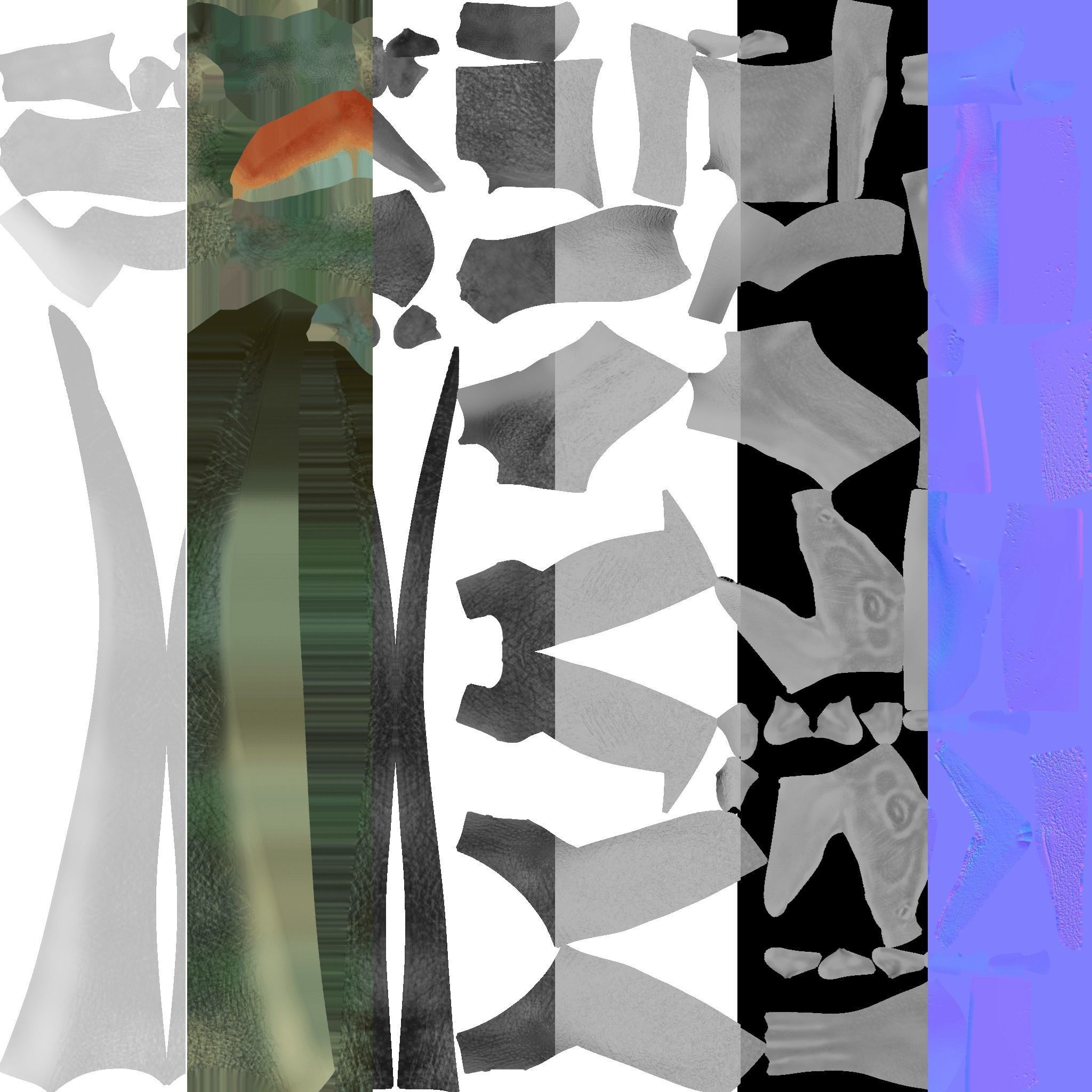 Allosaurus Dinosaur 3D model_11