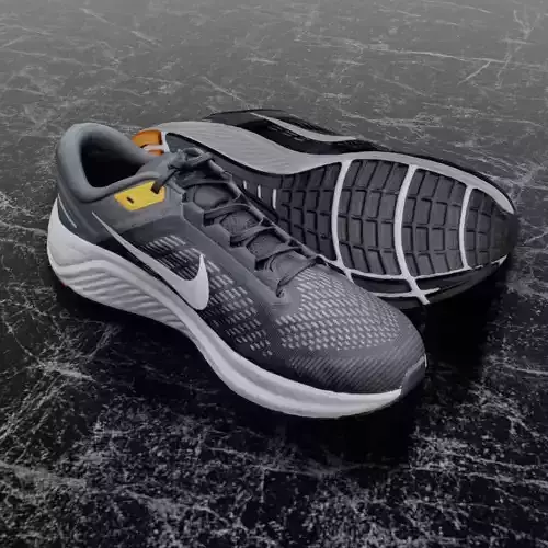 NIKE AIR ZOOM STRUCTURE 24 3D SHOES 3D model