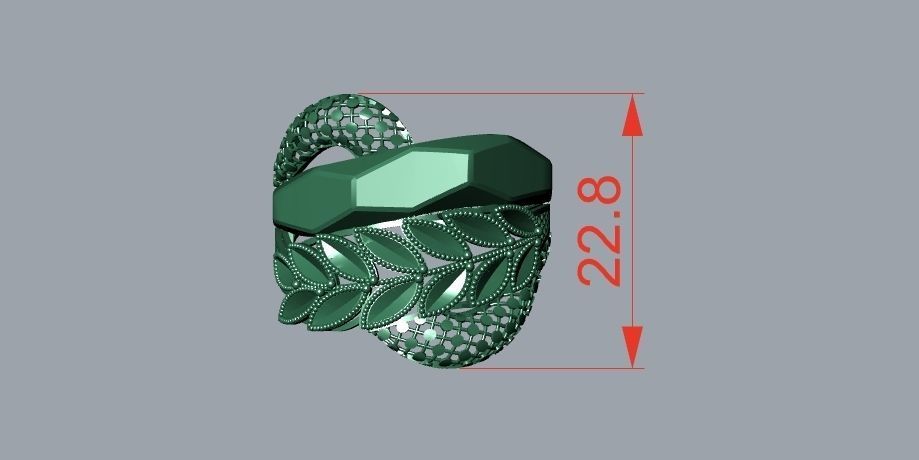 rings 3D print model_1