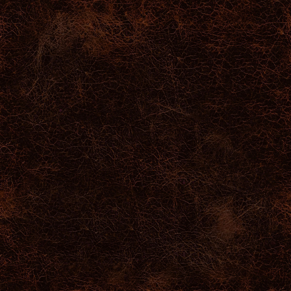 dining chairs classic 3d model 3D model 3D model_8