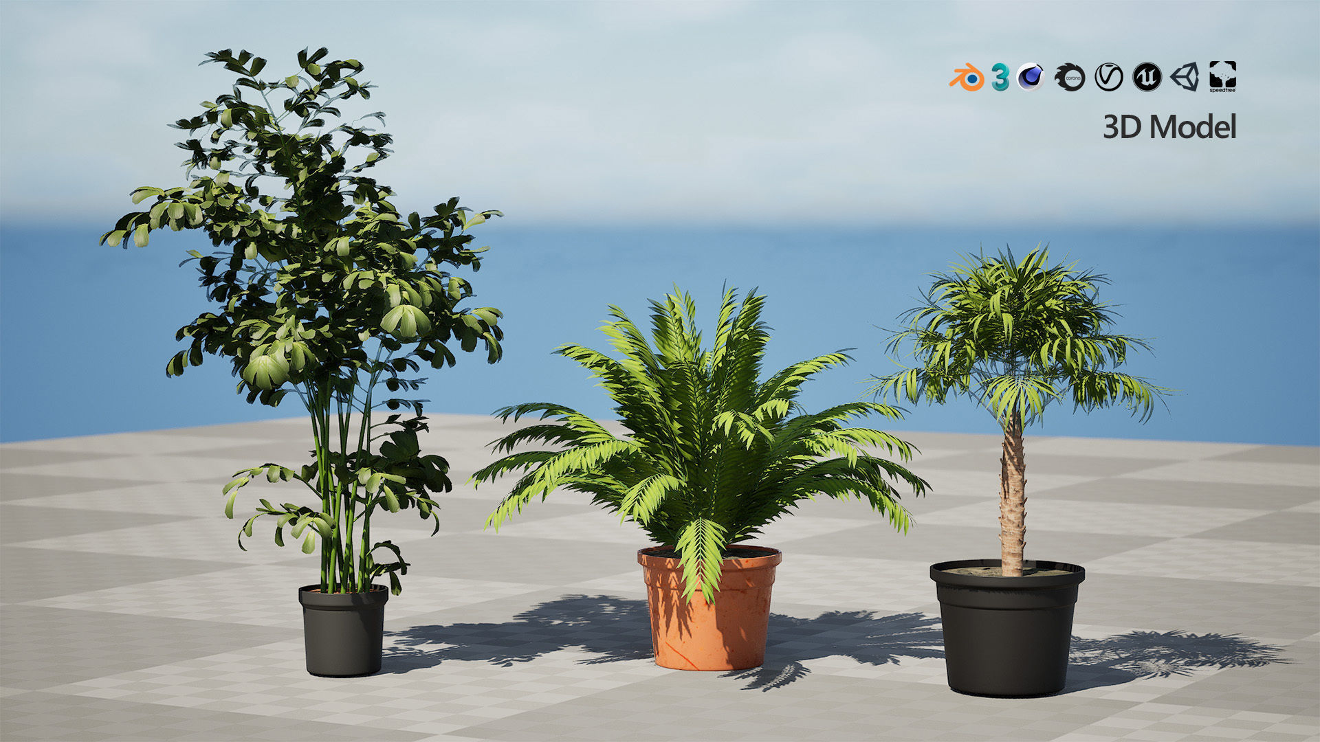 Indoor Potted Palm Collection  Low-poly 3D model_7