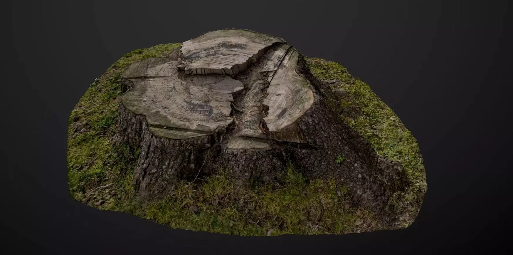 Tree stump 3D model_0