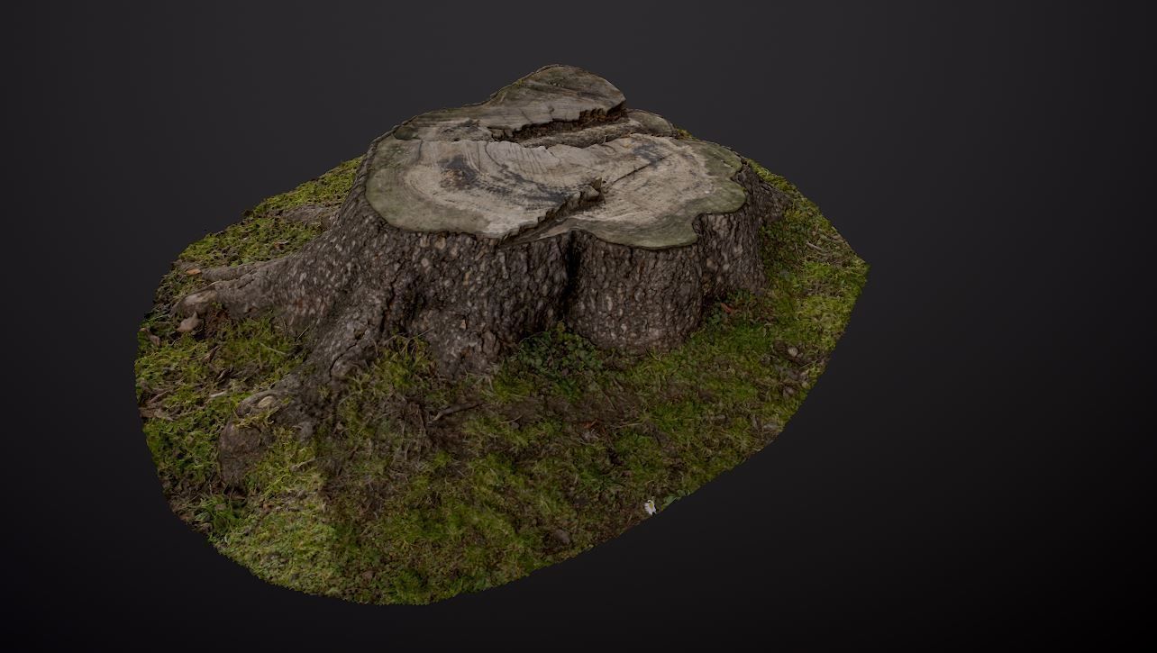 Tree stump 3D model_3
