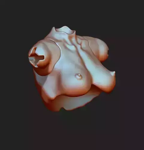 BREAST 3D DOLL BJD  OOAK  STL ARTICULATED DOLLS FILE