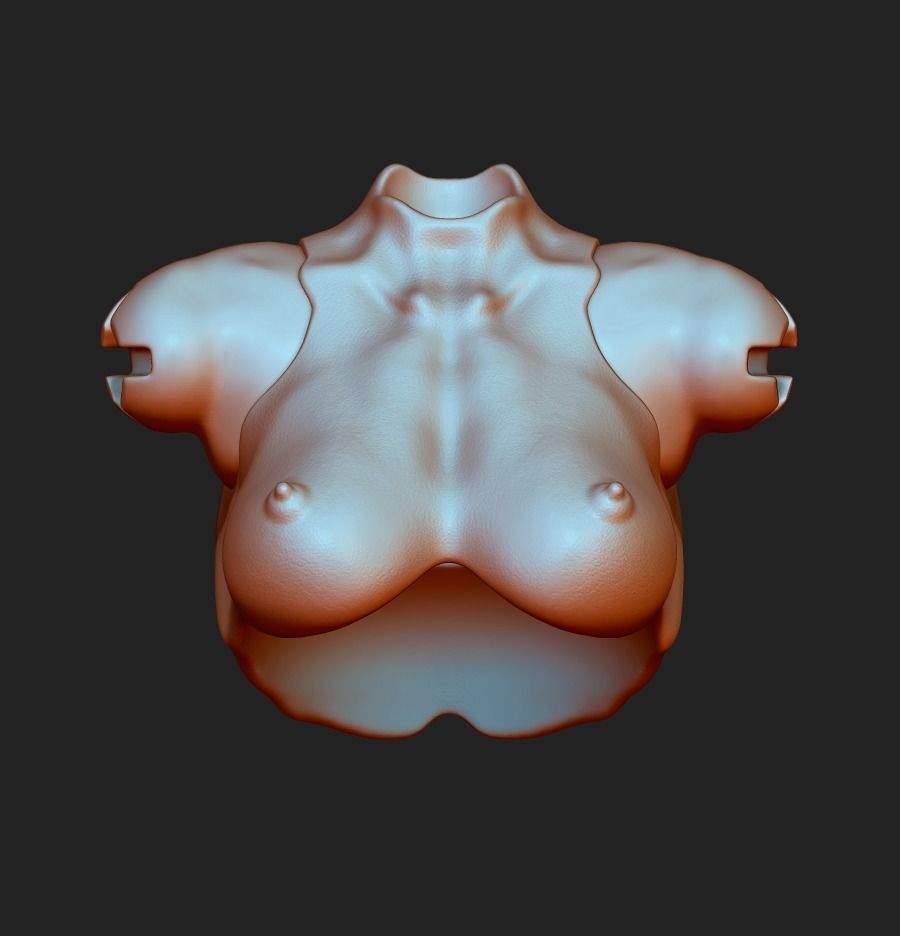 BREAST 3D DOLL BJD  OOAK  STL ARTICULATED DOLLS FILE 3D model_2