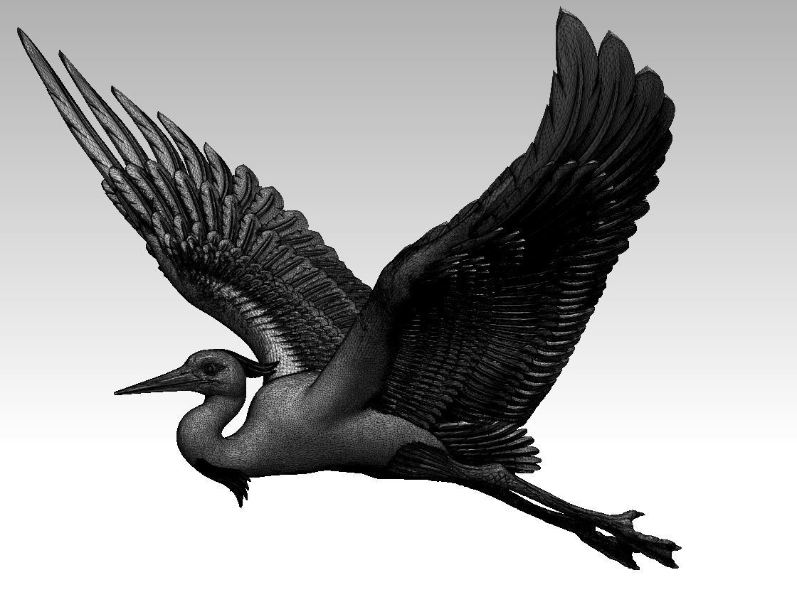 heron bird 3D print model_32