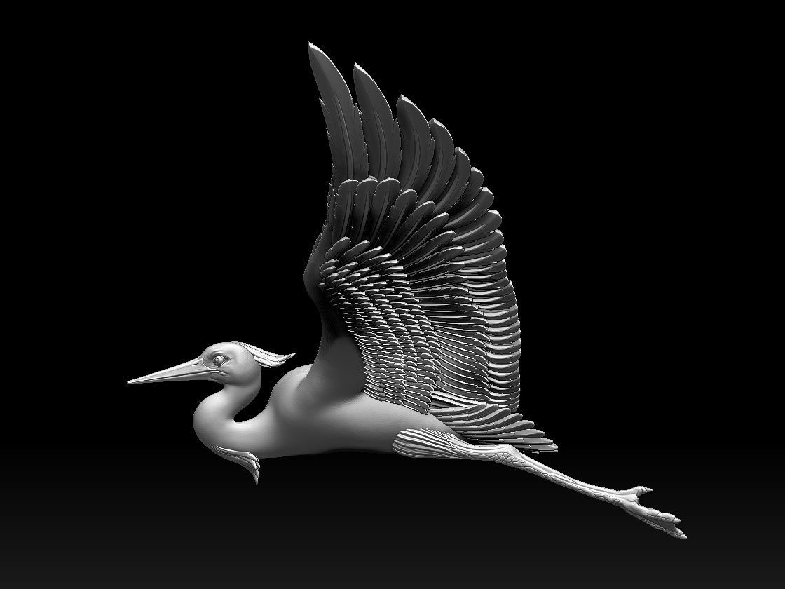 heron bird 3D print model_13