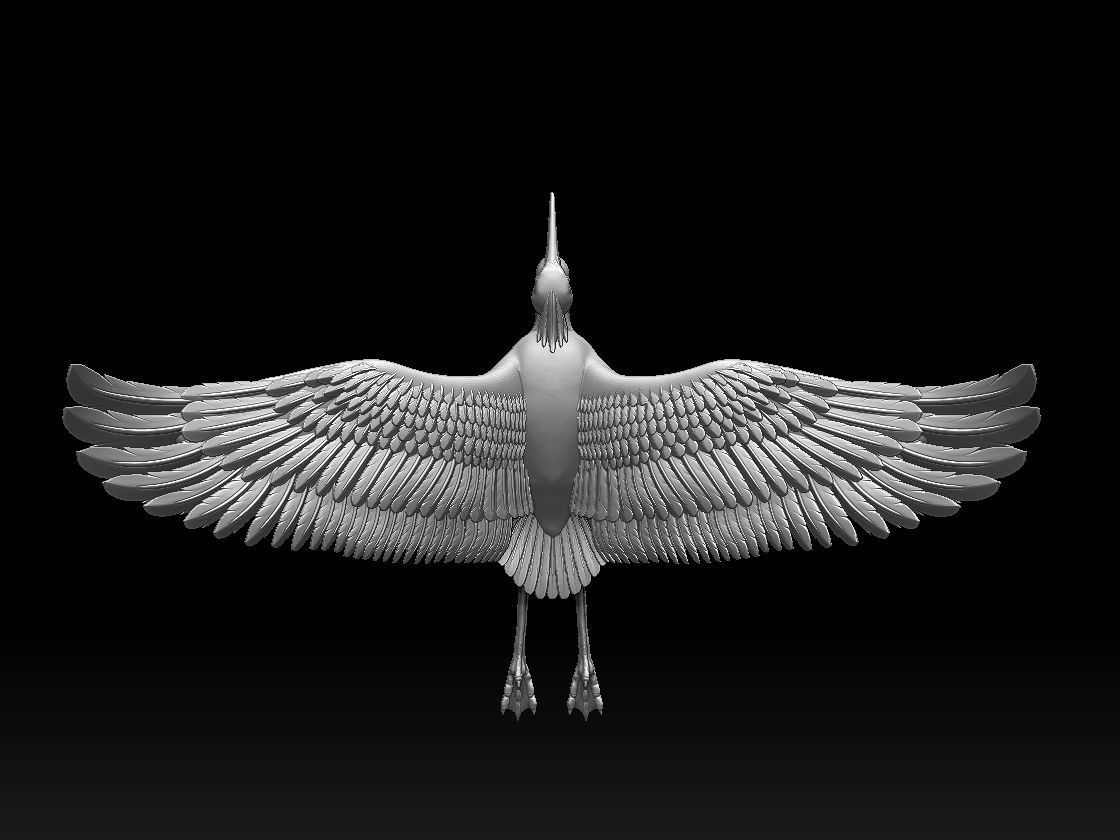 heron bird 3D print model_27