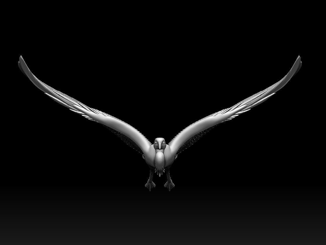 heron bird 3D print model_28