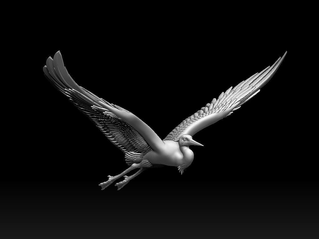 heron bird 3D print model_22