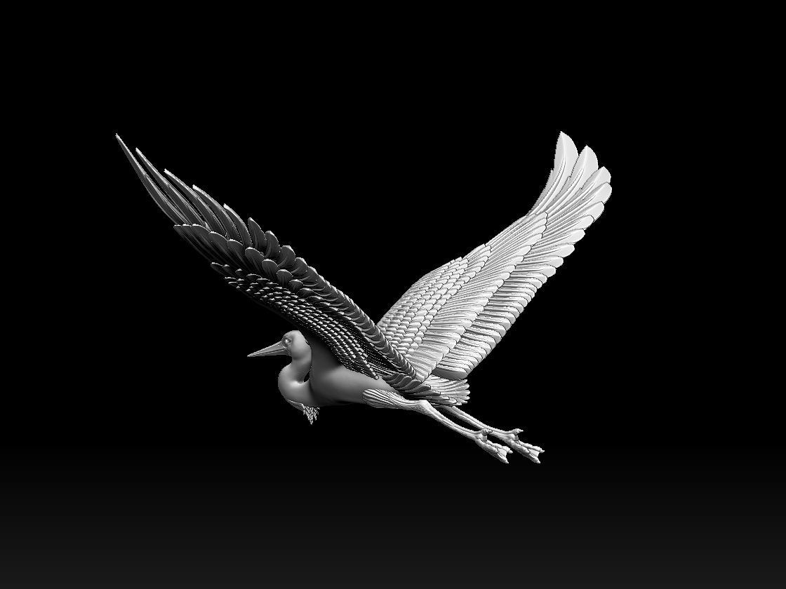 heron bird 3D print model_36