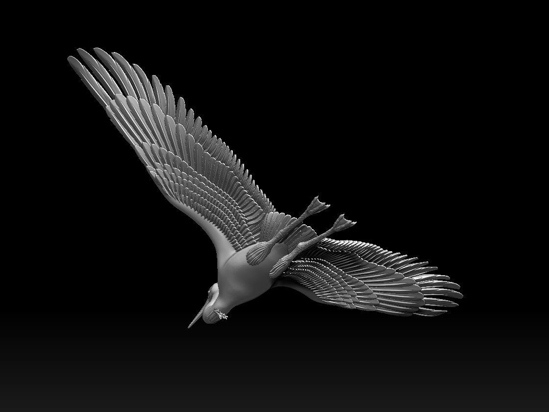 heron bird 3D print model_40