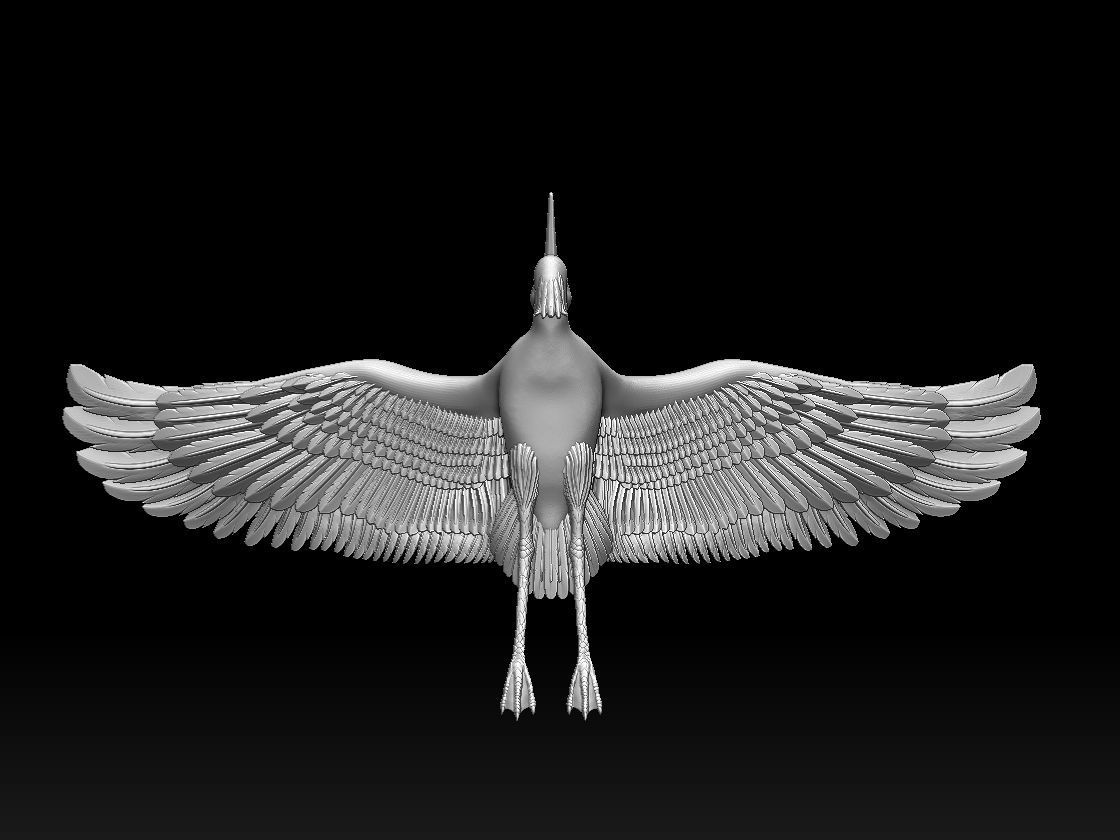 heron bird 3D print model_44