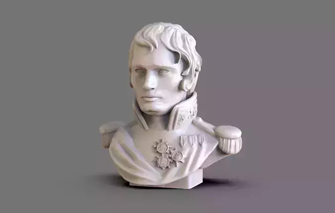 Napoleon Bust 3D print model