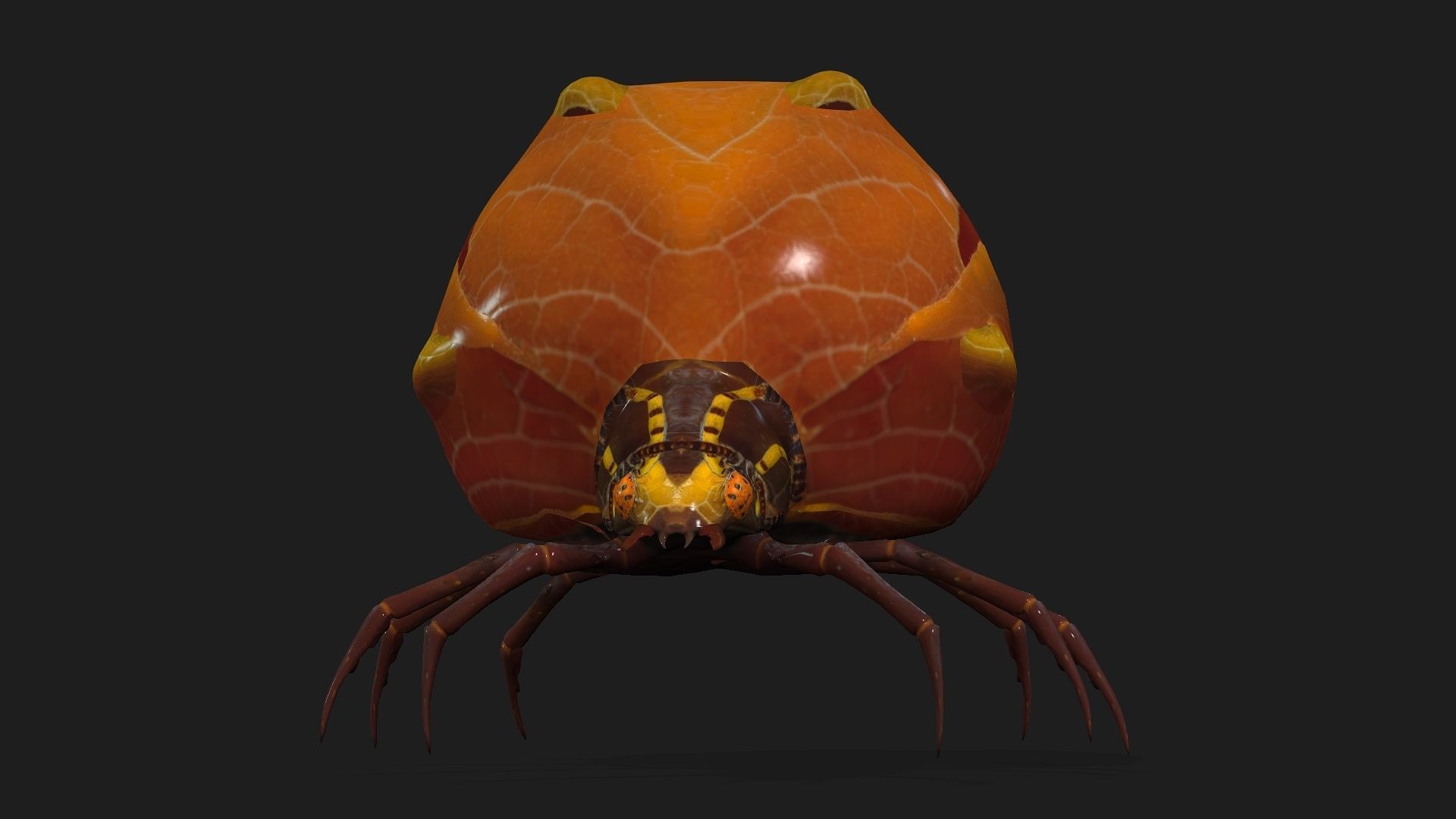 Spider-A2 3D model_5