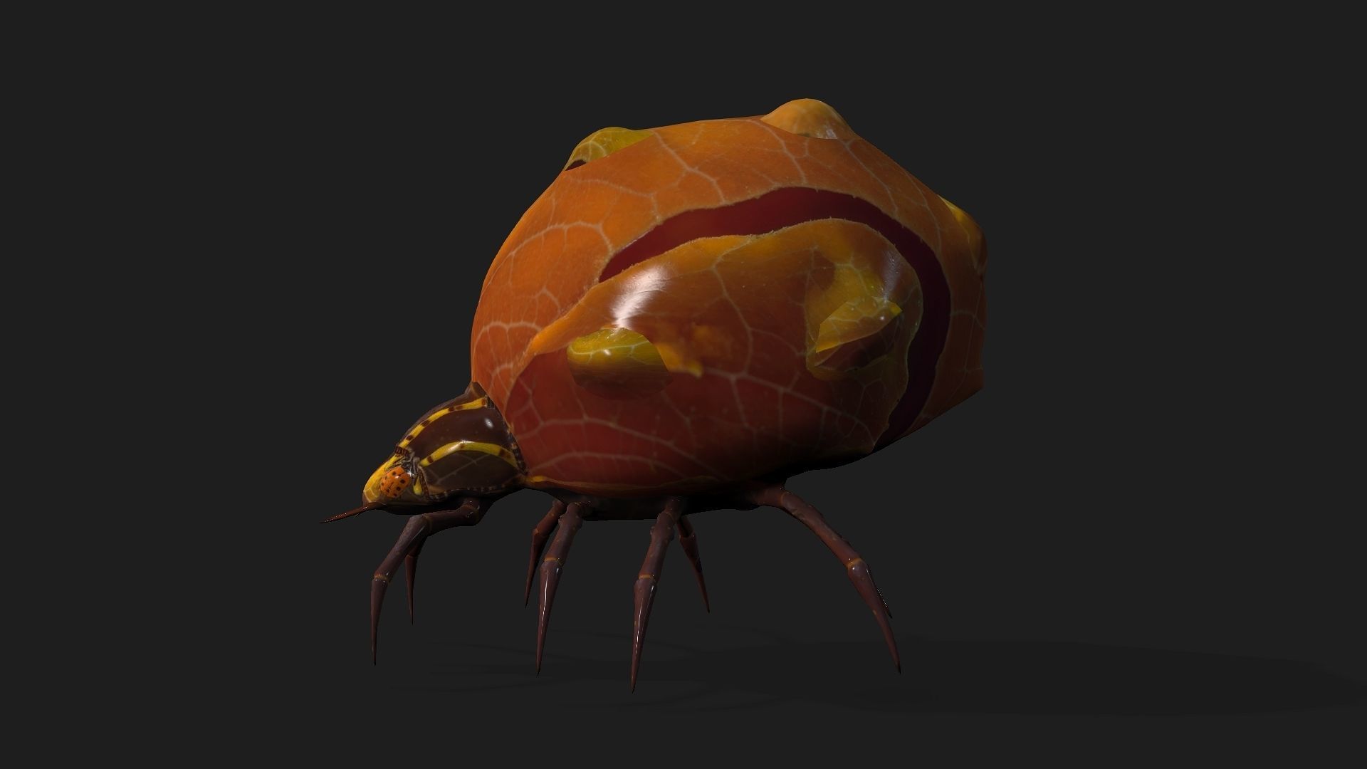 Spider-A2 3D model_4