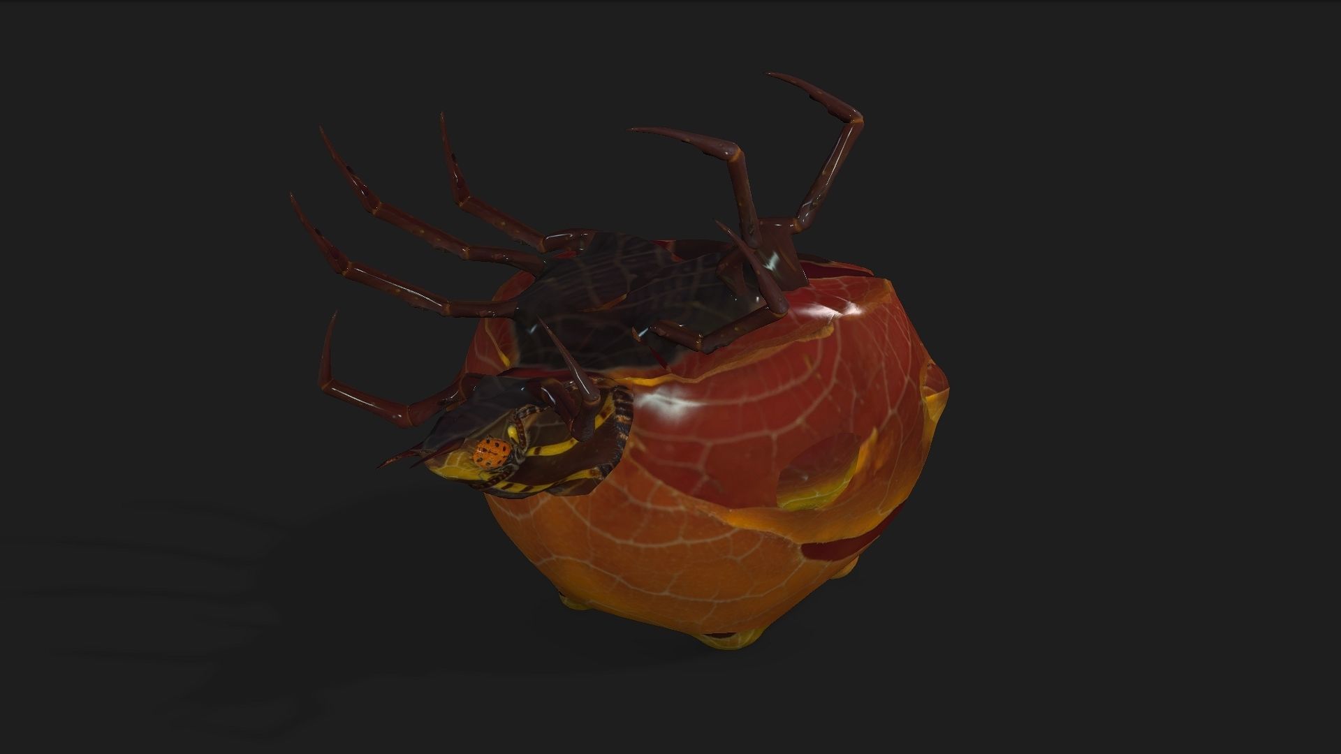 Spider-A2 3D model_3