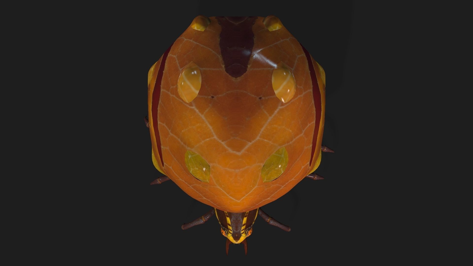 Spider-A2 3D model_7