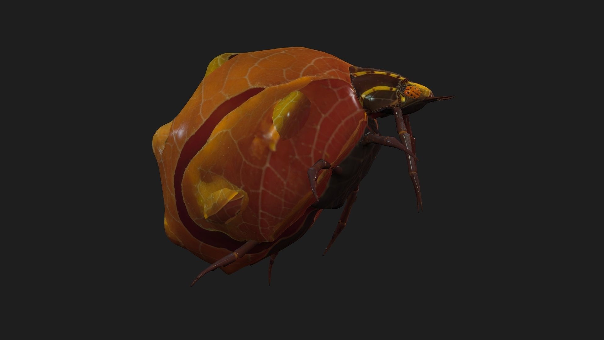 Spider-A2 3D model_10