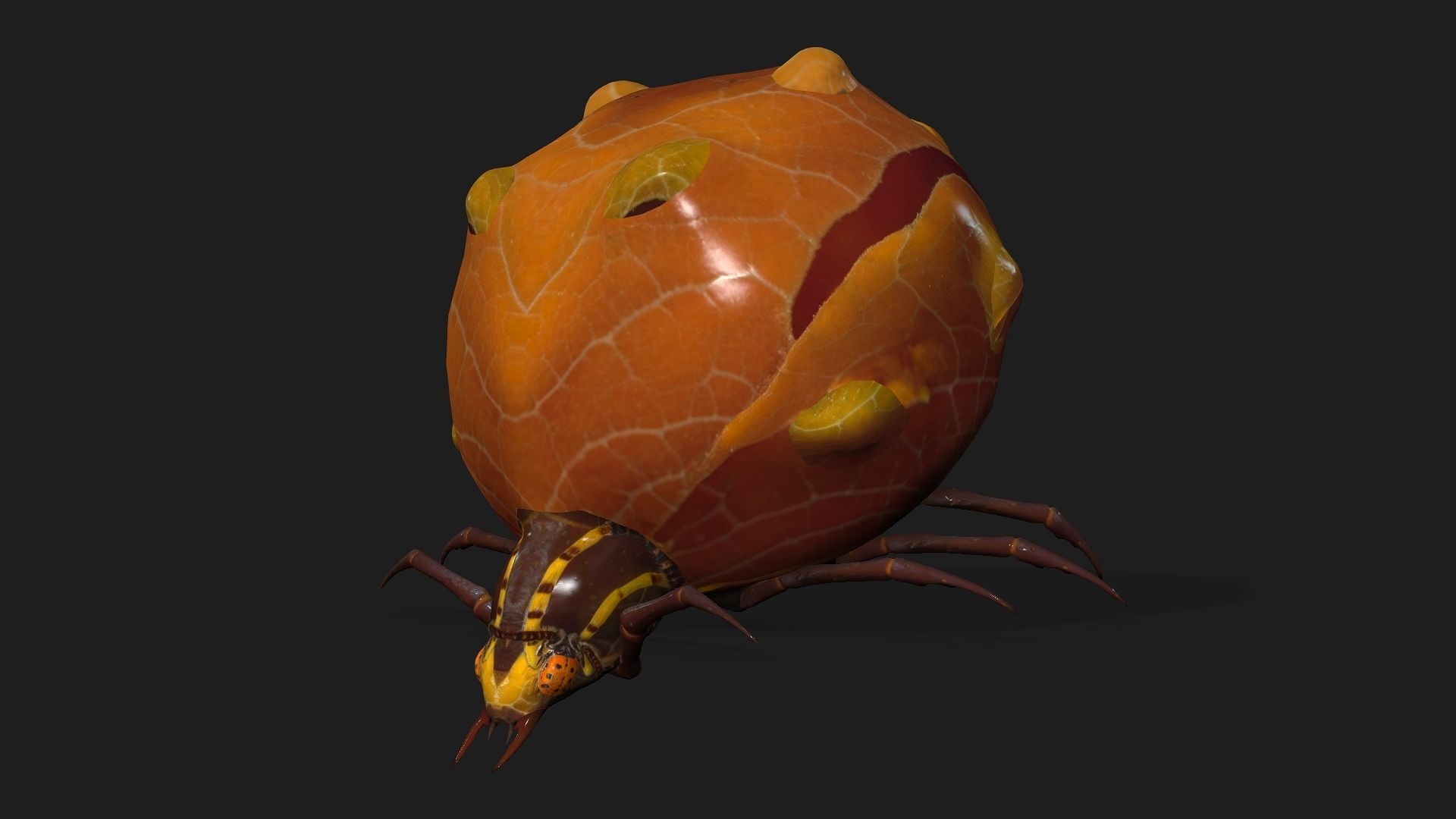 Spider-A2 3D model_8