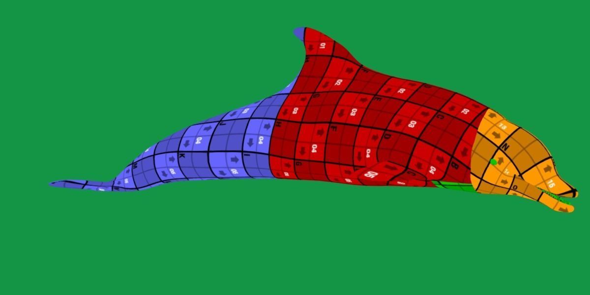 Bottlenose Dolphin 3D model_13