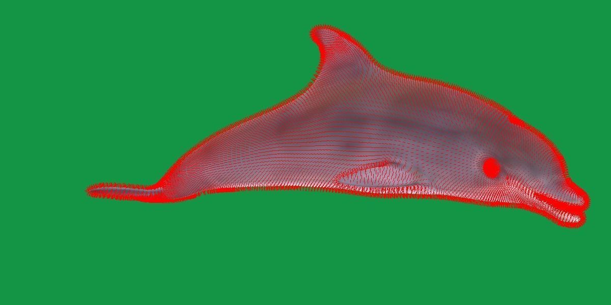 Bottlenose Dolphin 3D model_12