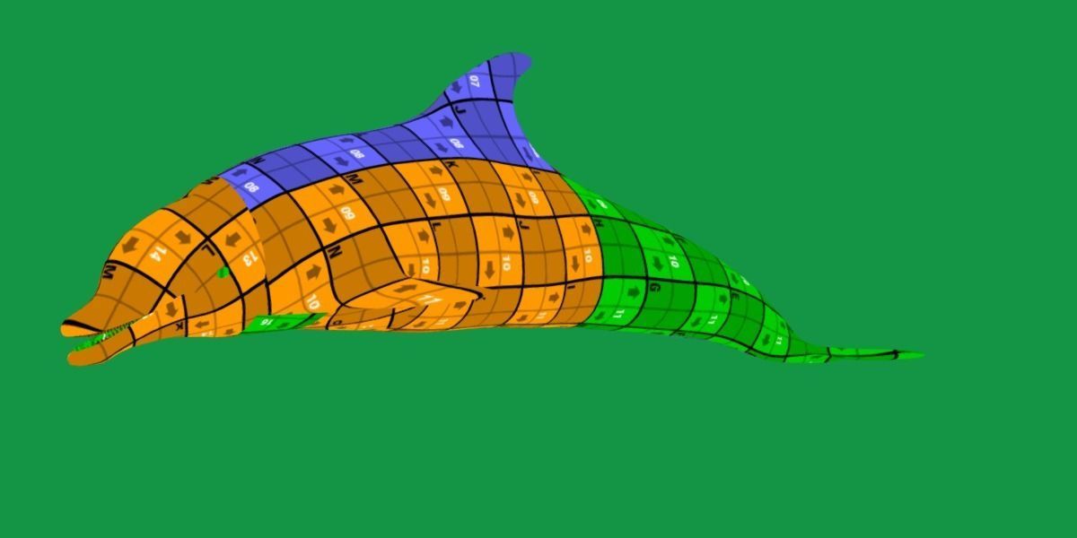 Bottlenose Dolphin 3D model_15