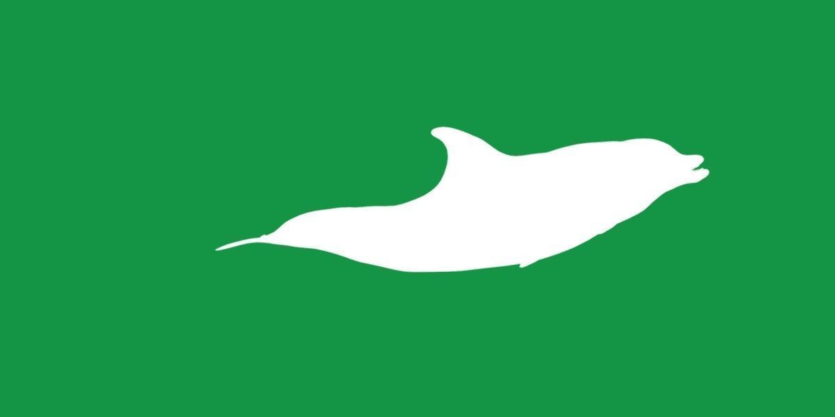 Bottlenose Dolphin 3D model_22