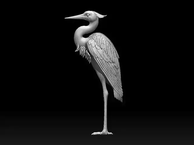 heron bird 3D print model