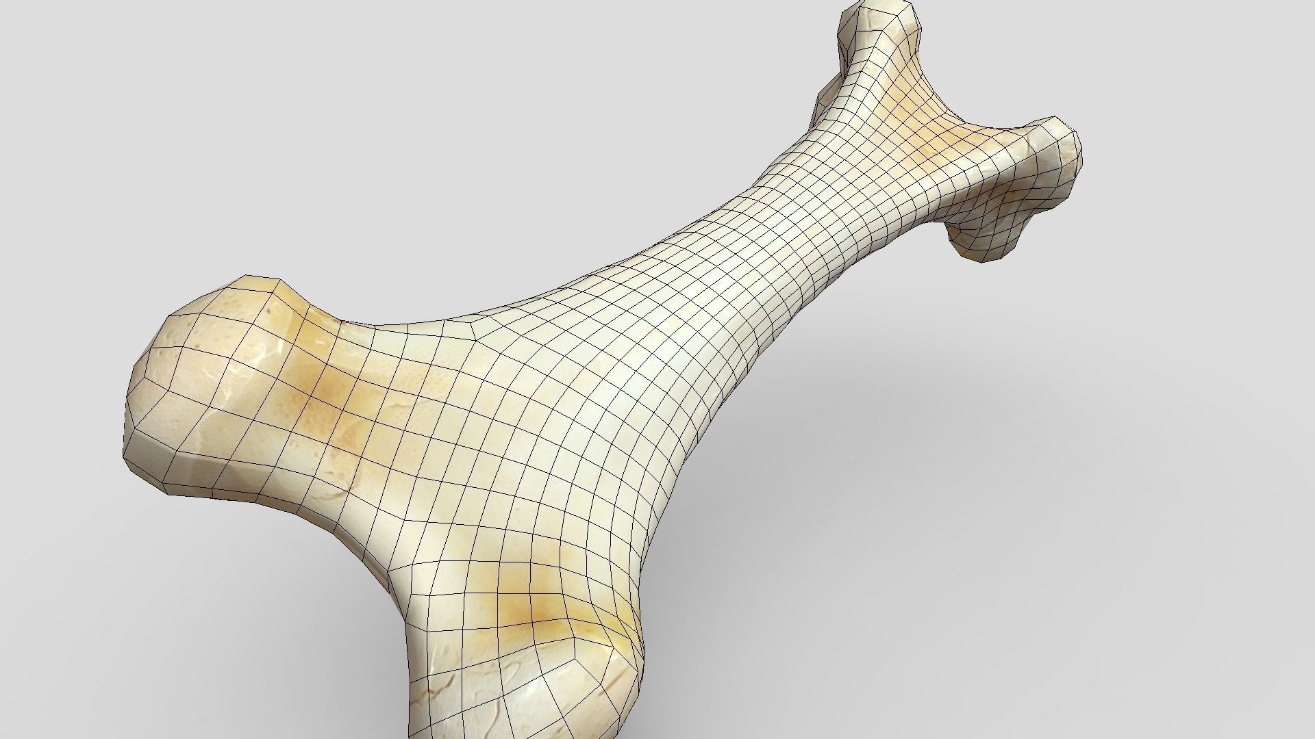 Bone 1 Low-poly 3D model_10
