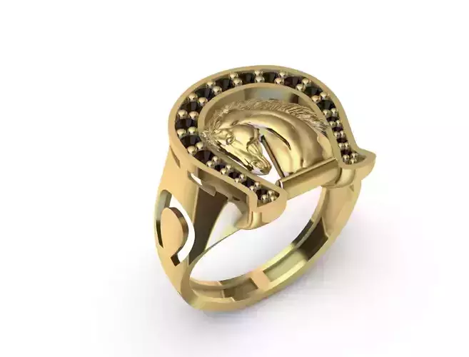 Anillo para caballero-hombre -v- 