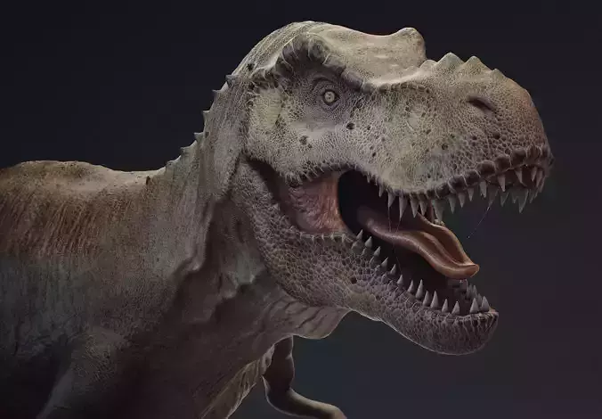T-rex Free 3D model
