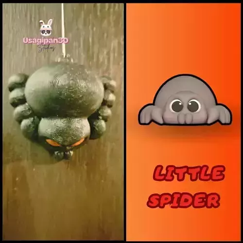 Little Spider