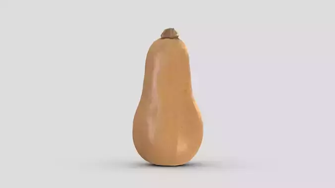 Butternut squash Low PoLy