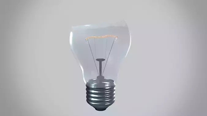 Broken Incandescent Light Bulb