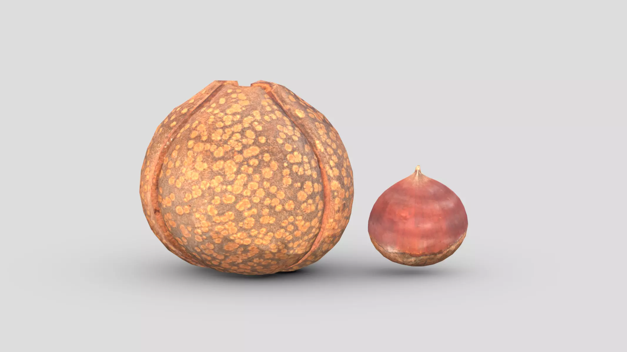 Chestnut Low Poly Low-poly 3D model_0