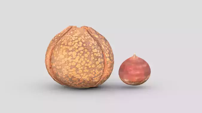 Chestnut Low Poly Low-poly 3D model