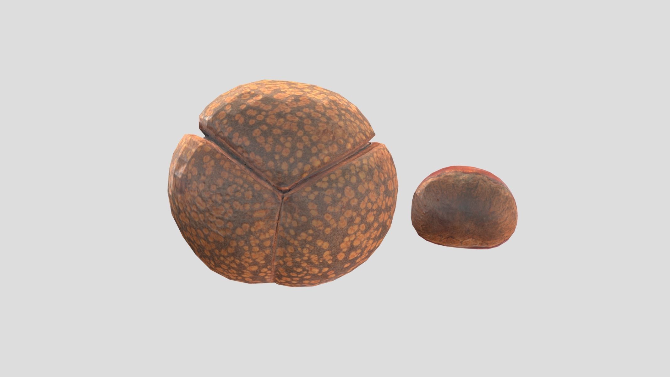 Chestnut Low Poly Low-poly 3D model_10
