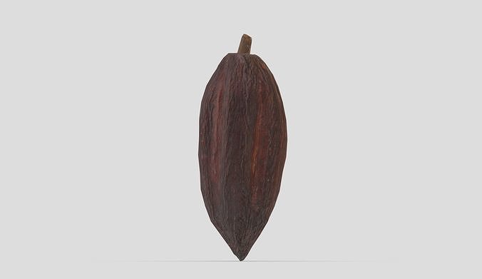 Cocoa Low Poly Low-poly 3D model 3