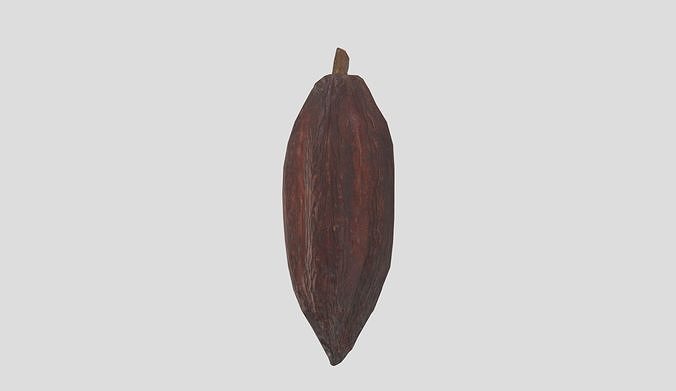 Cocoa Low Poly Low-poly 3D model 7